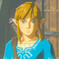 link from breath of the wild/tears of the kingdom